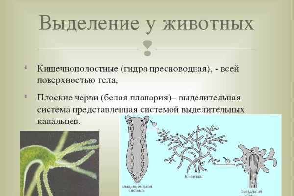 Даркнет магазин заказать посылку