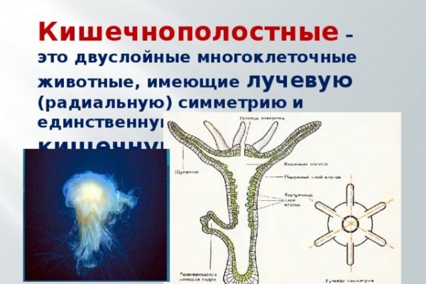 Адрес меги онион