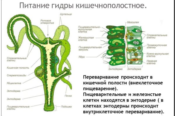 Mega sb ссылка на сайт