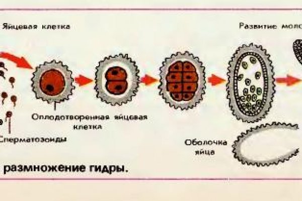 Маркет даркнет